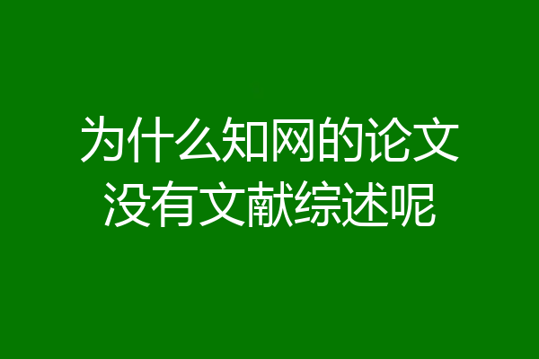 为什么知网的论文没有文献综述呢