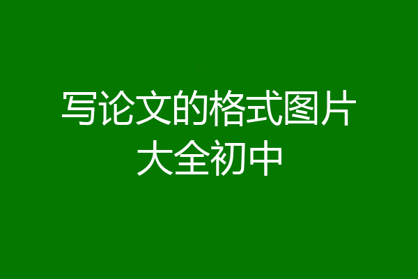 写论文的格式图片大全初中