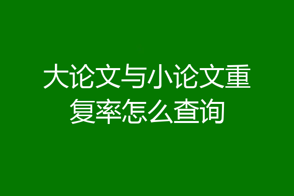 大论文与小论文重复率怎么查询