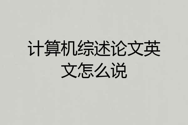 计算机综述论文英文怎么说