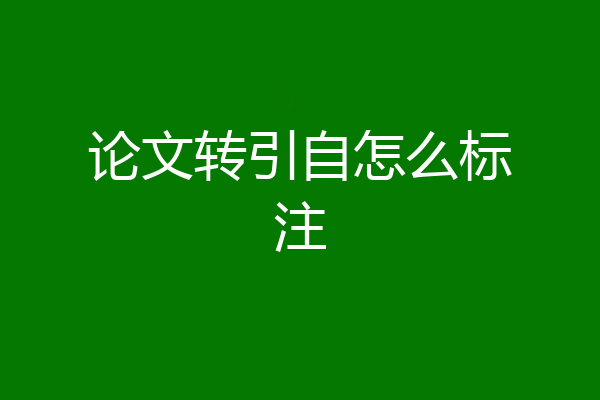 论文转引自怎么标注