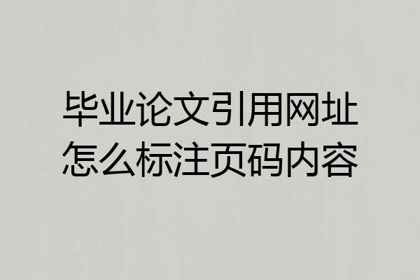 毕业论文引用网址怎么标注页码内容