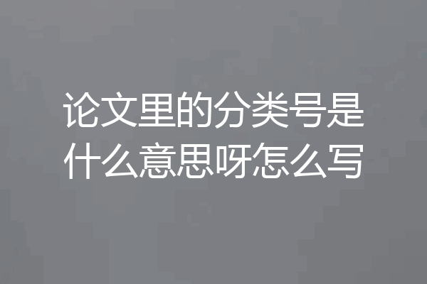 论文里的分类号是什么意思呀怎么写