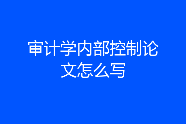 审计学内部控制论文怎么写