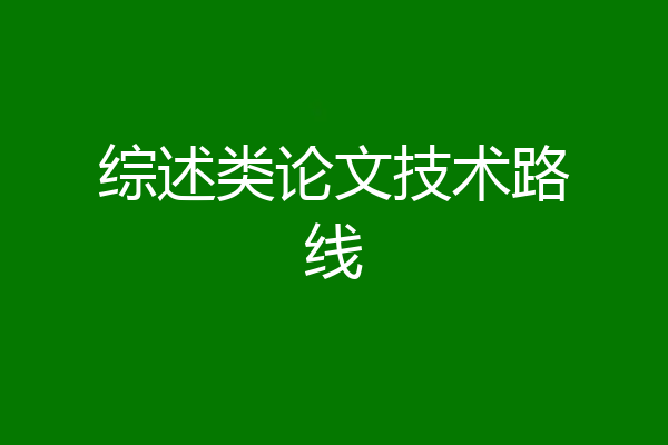 综述类论文技术路线