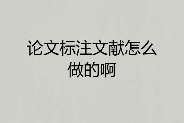 论文标注文献怎么做的啊