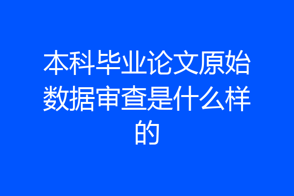 本科毕业论文原始数据审查是什么样的