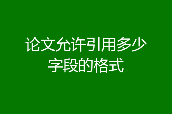 论文允许引用多少字段的格式