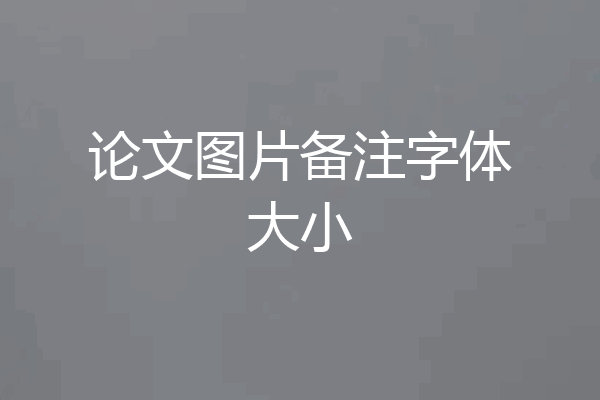 论文图片备注字体大小
