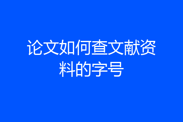 论文如何查文献资料的字号