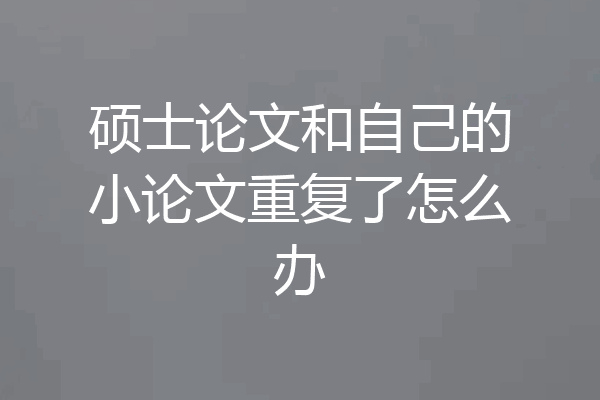 硕士论文和自己的小论文重复了怎么办