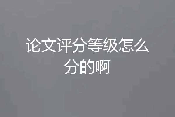 论文评分等级怎么分的啊