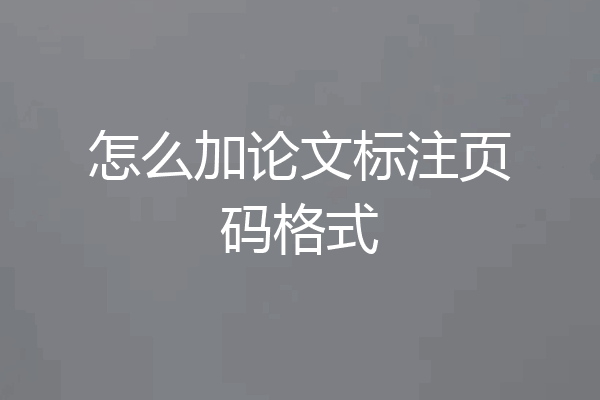 怎么加论文标注页码格式