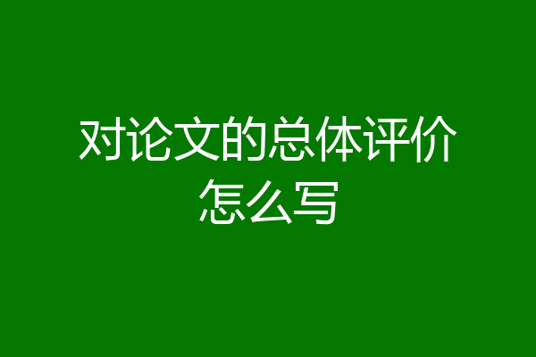 对论文的总体评价怎么写
