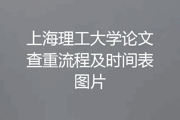上海理工大学论文查重流程及时间表图片