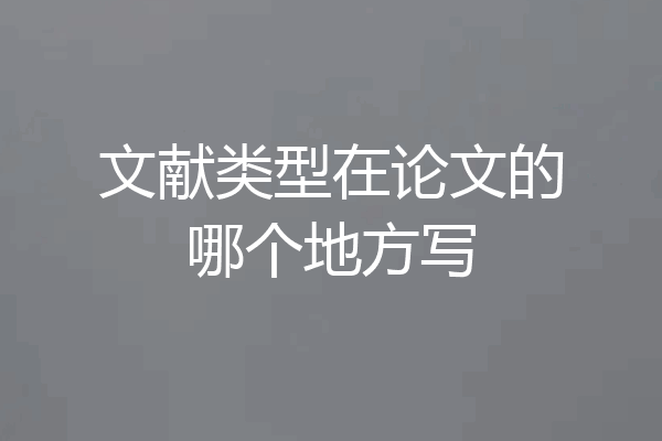 文献类型在论文的哪个地方写