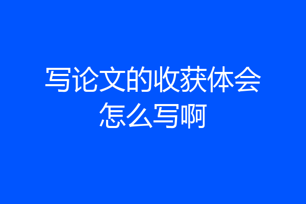 写论文的收获体会怎么写啊