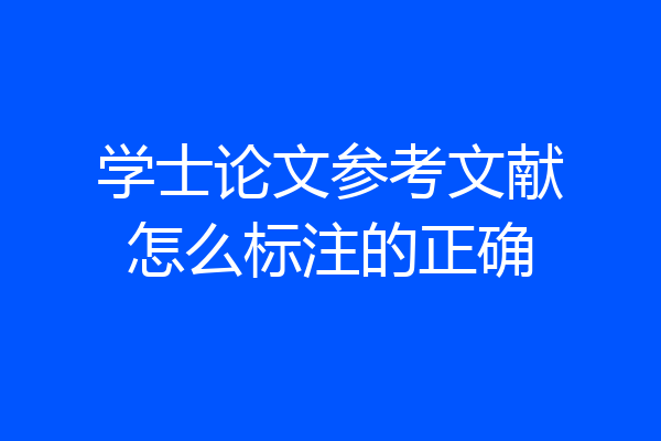 学士论文参考文献怎么标注的正确