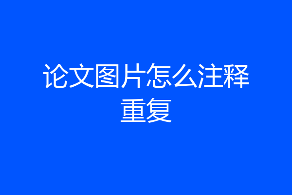 论文图片怎么注释重复