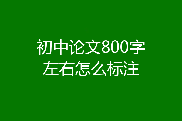 初中论文800字左右怎么标注