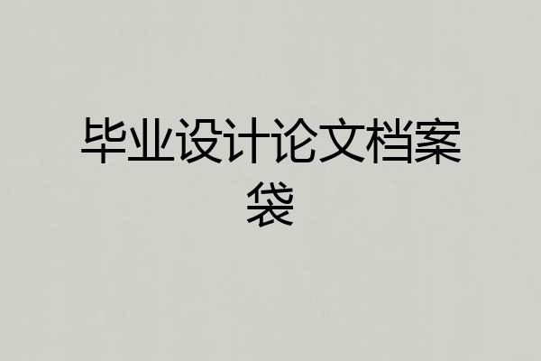 毕业设计论文档案袋