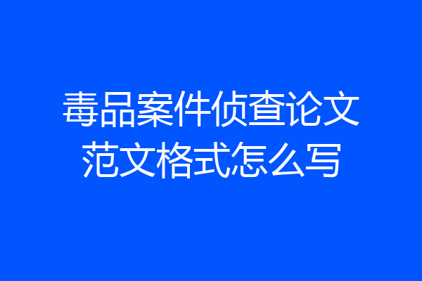 毒品案件侦查论文范文格式怎么写