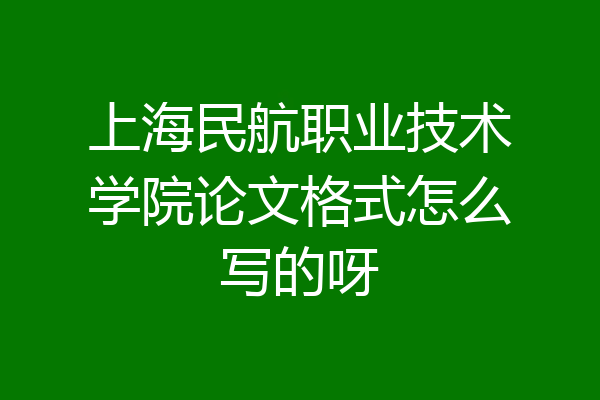 上海民航职业技术学院论文格式怎么写的呀