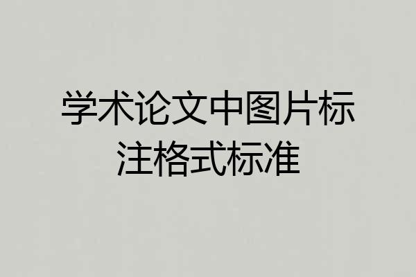 学术论文中图片标注格式标准