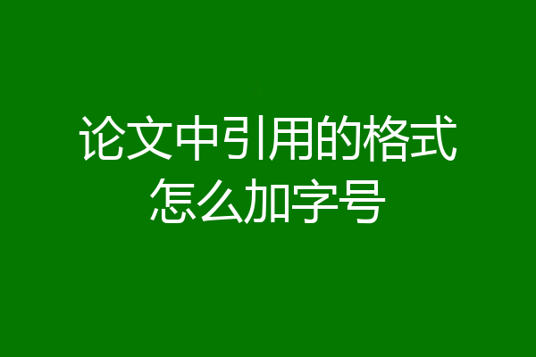 论文中引用的格式怎么加字号