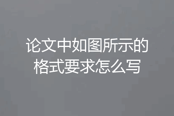 论文中如图所示的格式要求怎么写