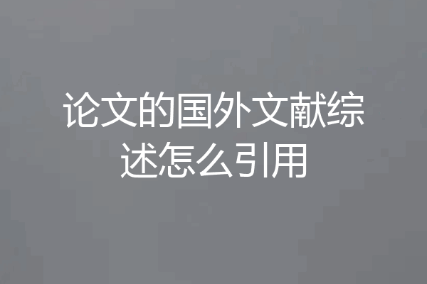 论文的国外文献综述怎么引用