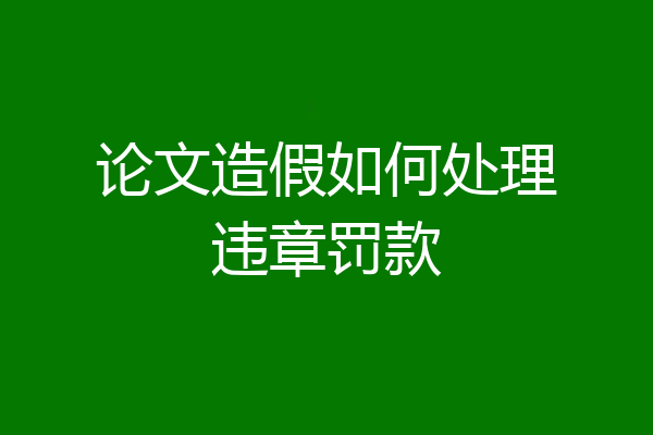 论文造假如何处理违章罚款