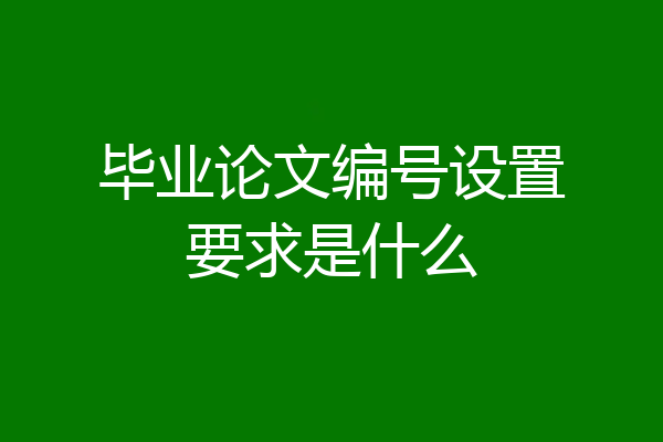 毕业论文编号设置要求是什么