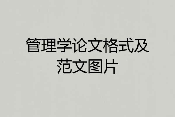 管理学论文格式及范文图片