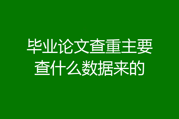 毕业论文查重主要查什么数据来的