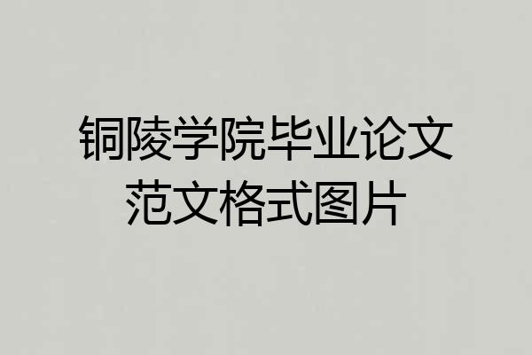 铜陵学院毕业论文范文格式图片