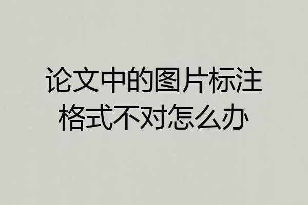 论文中的图片标注格式不对怎么办
