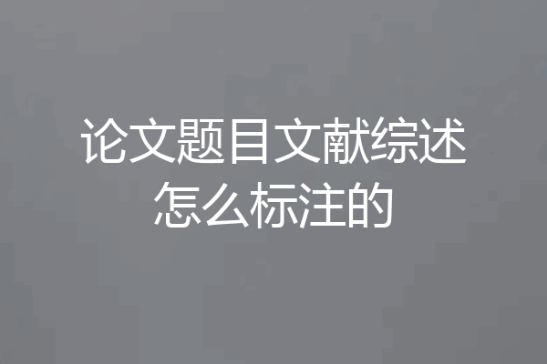 论文题目文献综述怎么标注的