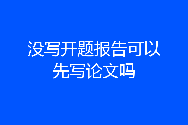 没写开题报告可以先写论文吗