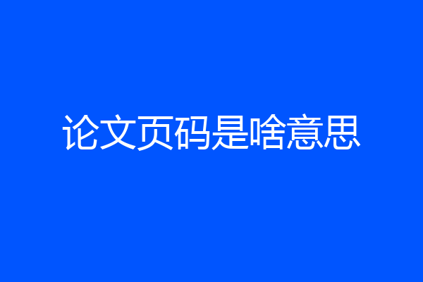 论文页码是啥意思