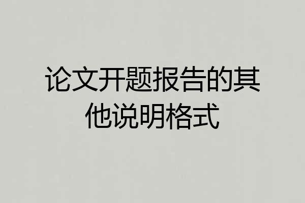 论文开题报告的其他说明格式