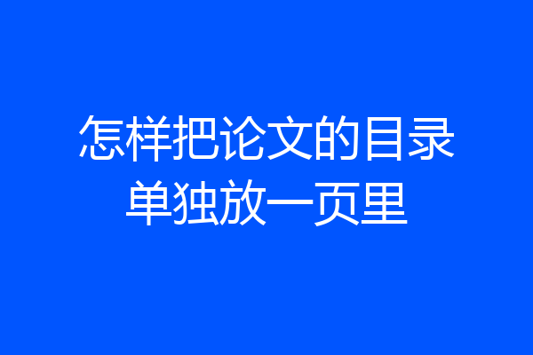 怎样把论文的目录单独放一页里
