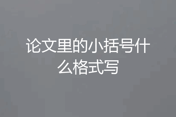 论文里的小括号什么格式写