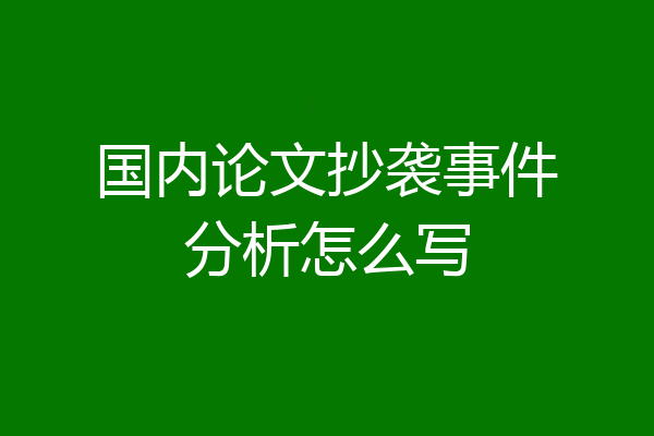 国内论文抄袭事件分析怎么写