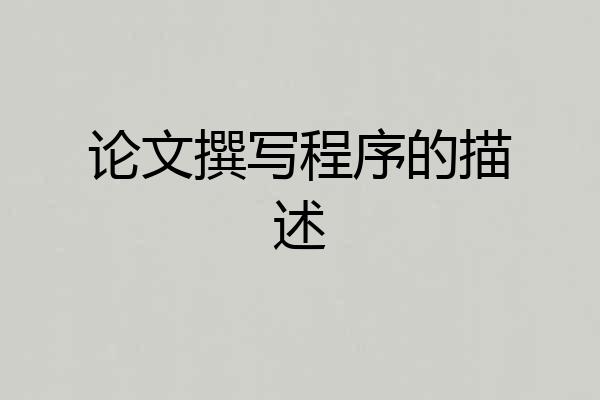 论文撰写程序的描述