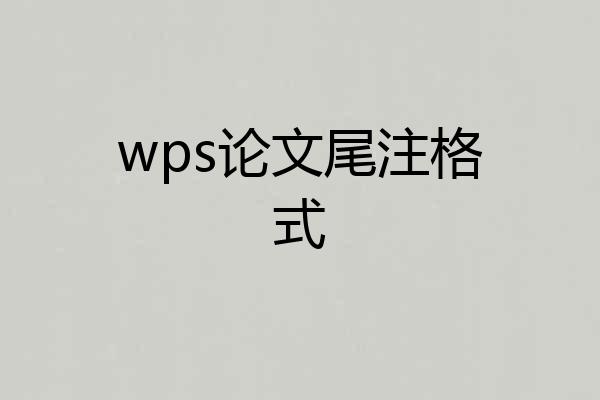 wps论文尾注格式