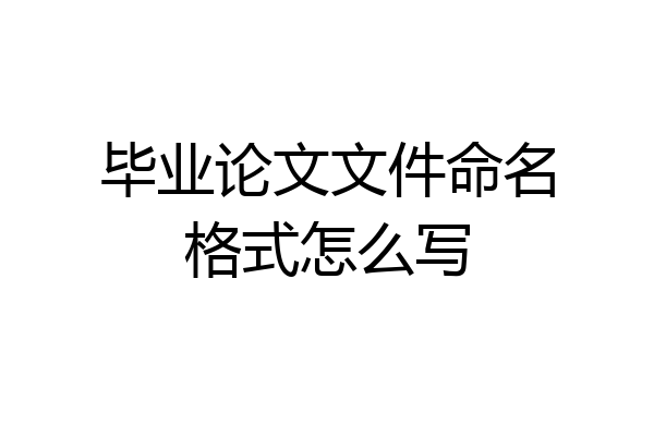 毕业论文文件命名格式怎么写
