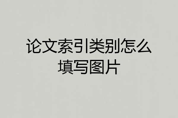 论文索引类别怎么填写图片