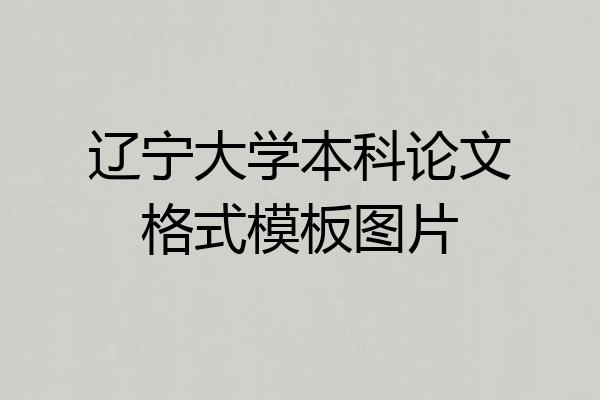 辽宁大学本科论文格式模板图片