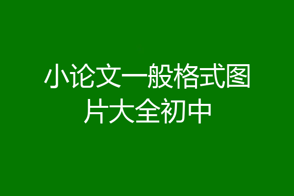 小论文一般格式图片大全初中